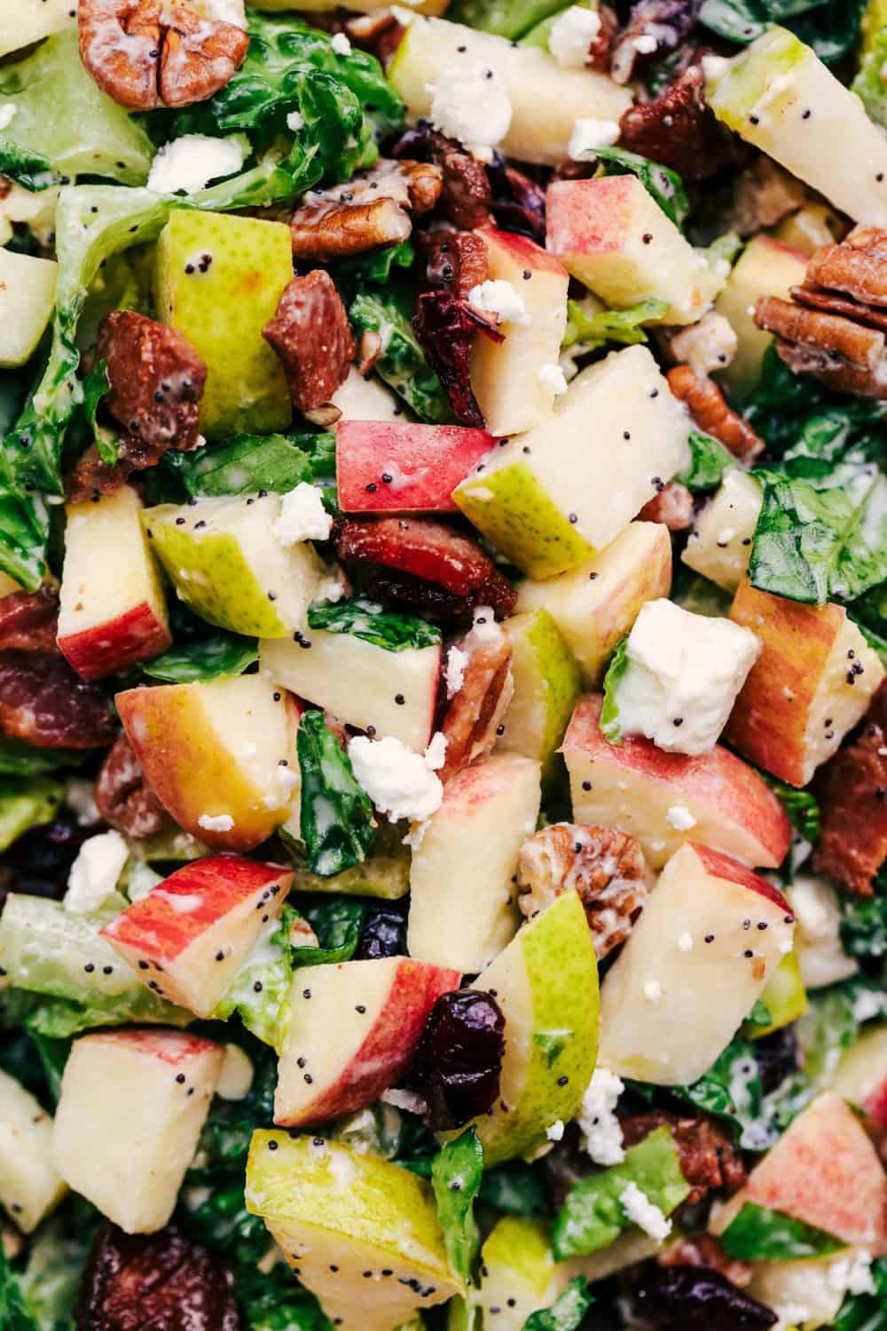 Autumn Chopped Salad with Creamy Poppyseed Dressing is all of your fall salad dreams come true! Crisp chopped apples, pears, romaine lettuce, crunchy pecans, bacon, cranberries and feta cheese combine in a creamy dressing to bring you one unforgettable salad! Autumn Chopped Salad with Creamy Poppyseed Dressing close up
